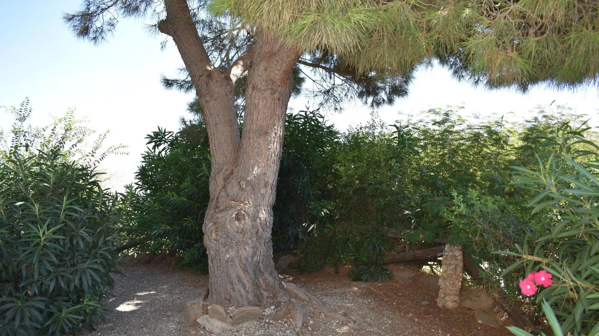 Finca Carrulo Mit Privatem Pool Competa 0*,  Spain